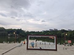 -八大山人梅湖景区