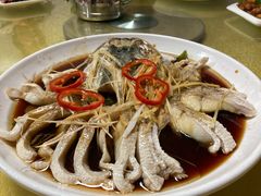 -煲来饱去冷水鱼