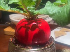 -山水茶艺馆·点心粤菜·30年老字号