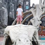 炎炎夏日，到恐龙世界打卡吧