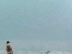 -南海子公园