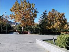 -滨河世纪广场公园