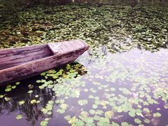 -杭州城北体育公园