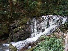 -莫里热带雨林景区