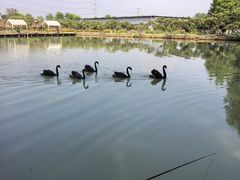 -乌村