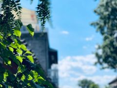 -Sirena海妖日咖夜酒