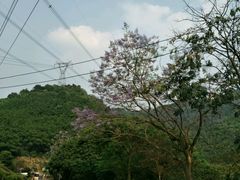 -广州市帽峰山景区