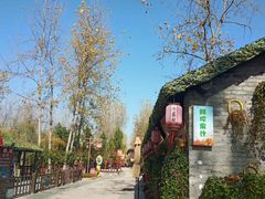 -合肥滨湖国家森林公园