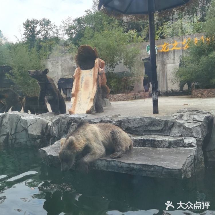 长假来龙之梦动物世界吧[加油]