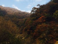 -沣峪森林公园龙潭戏水景区