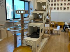 -有喵·猫咖·狗咖·40+猫狗有小奶狗(岗厦店)