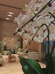 -恒美雅轩·品牌直营连锁