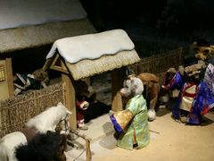 -成都泰迪熊博物馆