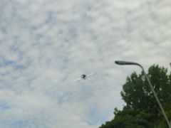 -小晏汽车维修店(华阳店)