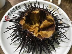 -大连星海广场音乐喷泉