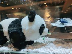 -红辣椒·川菜·火锅(张杨路店)