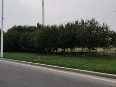 -龙达温泉生态城