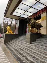 -中国黄金(北京旗舰店)