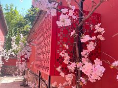 -潭柘寺景区