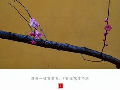 -慧因高丽寺