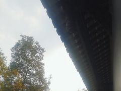 -安仁古镇