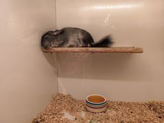 -龙猫仔乐园(惠福东路店)