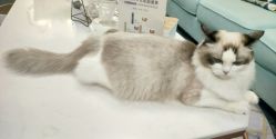 -元一肌肤管理中心