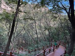 -大岭沟猕猴桃谷风景区