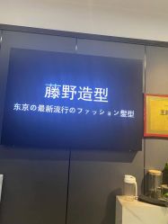 点击看大图 -藤野造型