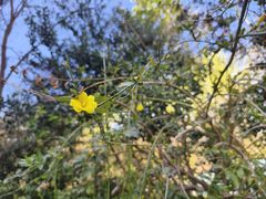 -天鹅湖体育公园