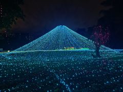 -广西壮族自治区药用植物园