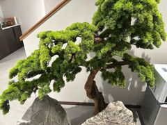 -澜沧古茶·商务茶馆(萧山人民广场店)