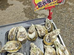 -蚝专家(北滘店)