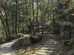 -白鹿洞书院