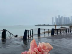 -深圳湾公园(南山区)