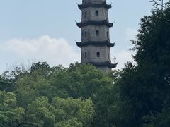 -江心屿景区