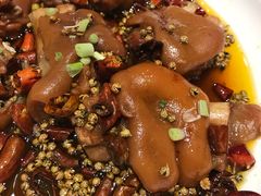 -巴渝菜舍曾氏麻辣风(霸州店)