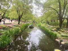 -上海共青森林公园