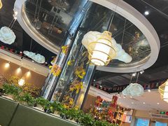 -龙泉人椰子鸡(龙昆南店)