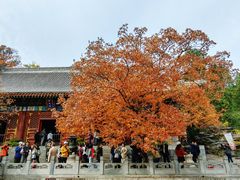 -香山公园