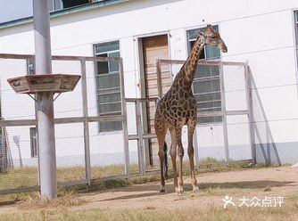 动植物园，无疑就是看看小动物嘛，小朋友居多