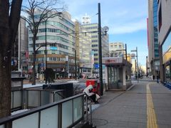 -大通公园