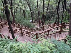 -大岭沟猕猴桃谷风景区