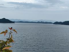 -宝荣鱼馆·临湖之宴(千岛湖店)