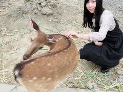 -鹿境梅花鹿生态园区