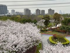 -外高桥保税区南(地铁站)