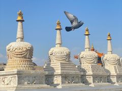 -大召寺明清一条街