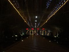 -森波拉火山温泉