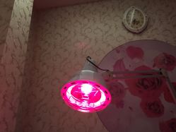 -佐登妮丝美容SPA生活馆