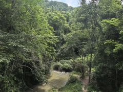 -野象谷景区